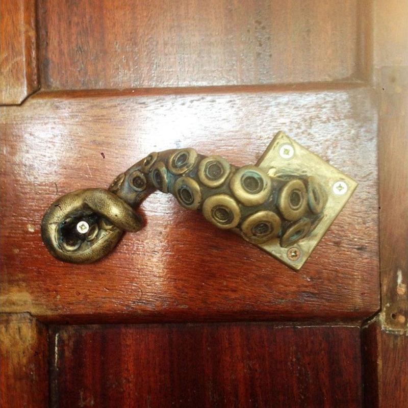 خمر الأخطبوط مقبض الباب الحيوا - مراجعة Furniture Hardware Parts وسعره